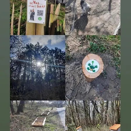 Stacaravan Te Huur Campsite